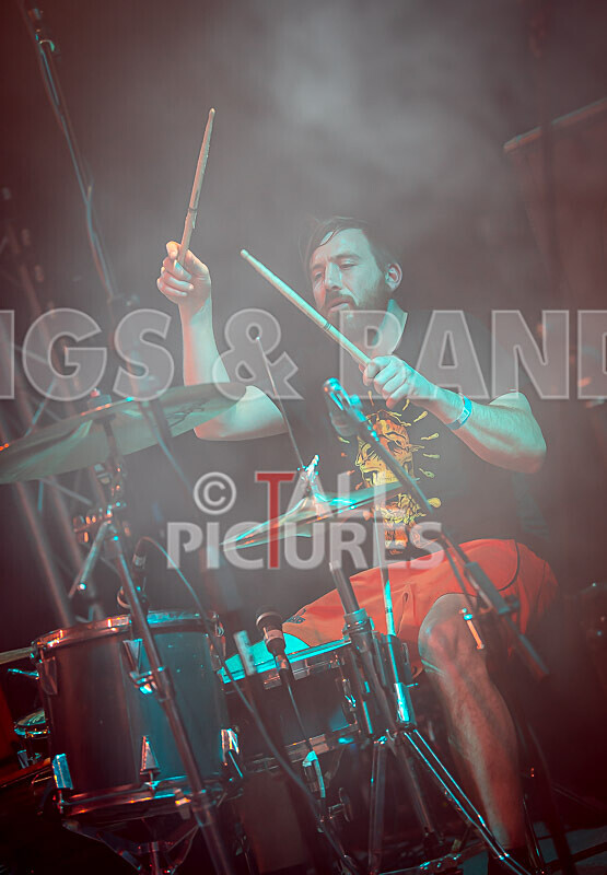Pigsx7-81 - PIGS PIGS PIGS PIGS PIGS PIGS PIGS