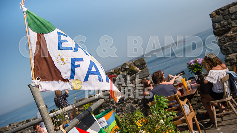 Vale Earth Fair 2017_SCENE-61 - VALE EARTH FAIR 2017_THE SCENE