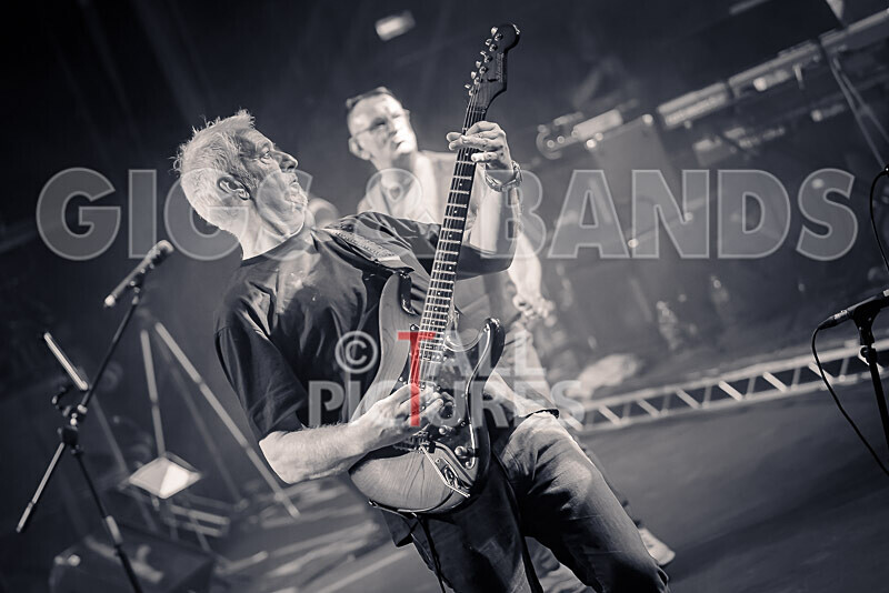 Elysium as Pink Floyd-166 - ELYSIUM as PINK FLOYD