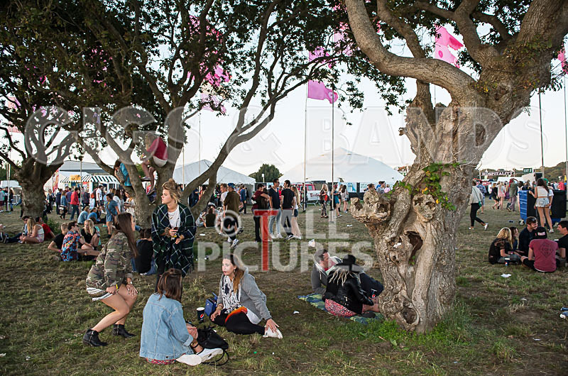 Jersey Live 2014_The Atmosphere-145 - JERSEY LIVE 2014_THE ATMOSPHERE_SUNDAY