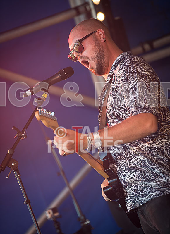 Vale Earth Fair 2017_PRESS EDIT-25 - VALE EARTH FAIR 2017_THE PRESS EDIT