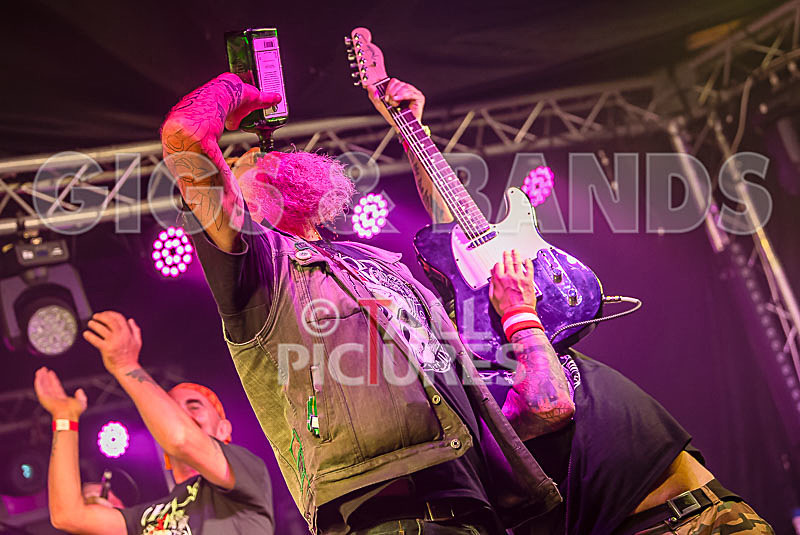 Spunge-125 - [spunge]