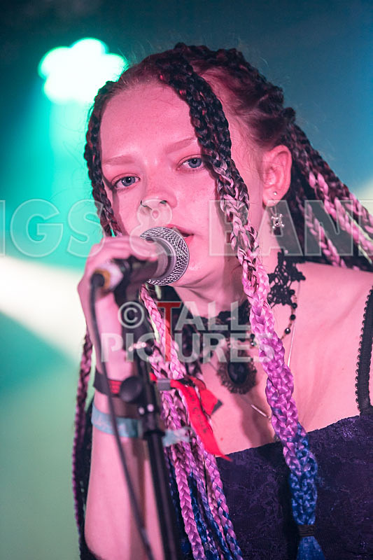 Avacado Geff-18 - AVACADO GEFF