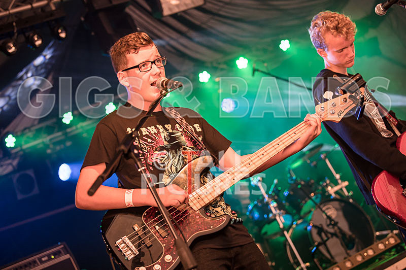 The Violet Diversion-7 - THE VIOLET DIVERSION