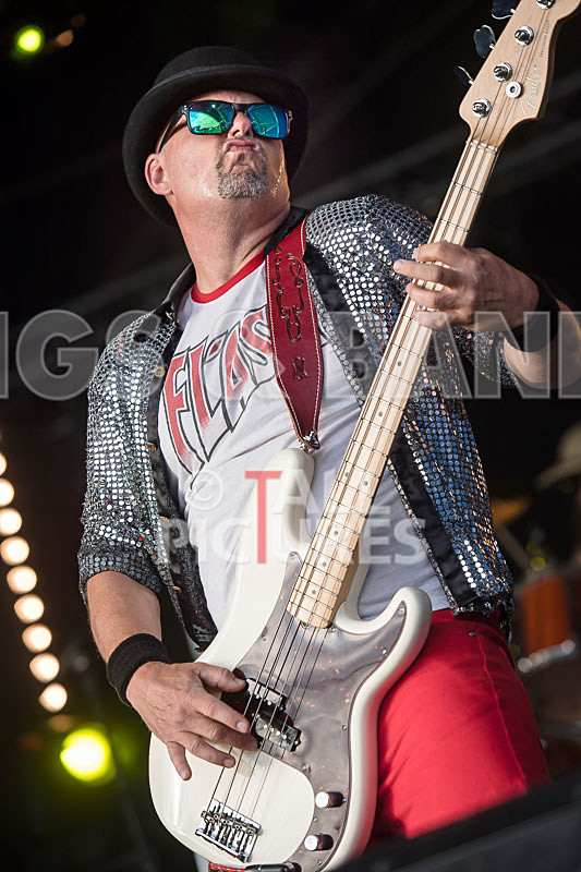 Peppered Ant Legs-258 - PEPPERED ANT LEGS