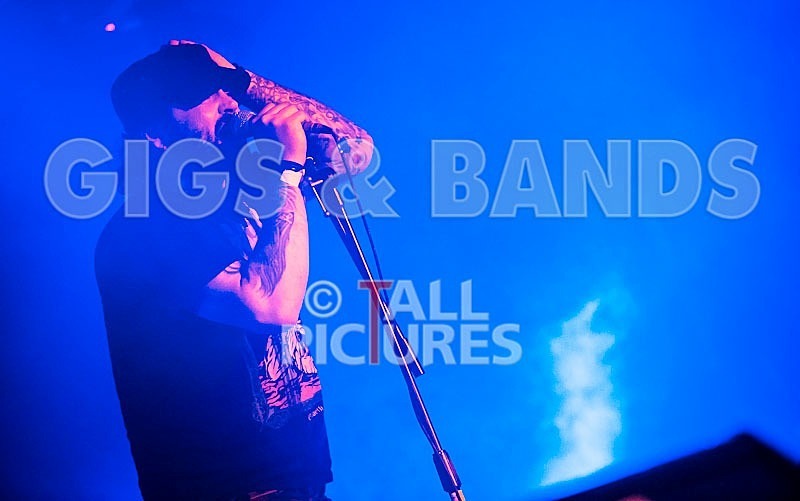 Viking Skull-4 - VIKING SKULL