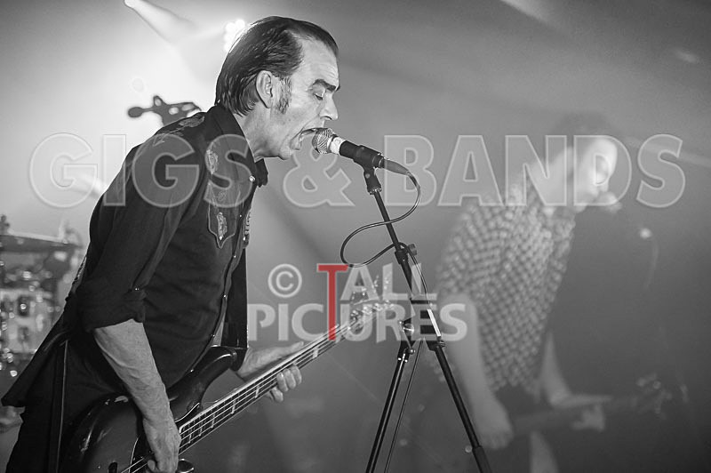 The Electric Shakes-75 - THE ELECTRIC SHAKES