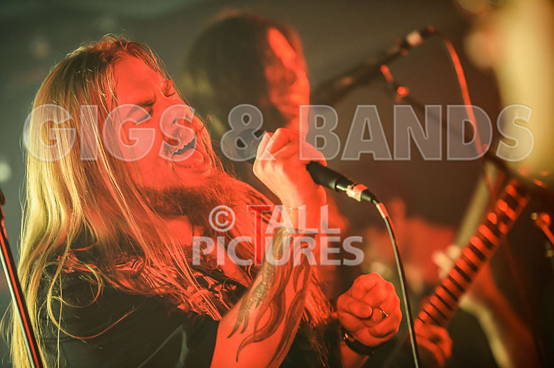 Stone Em All-244 - STONE EM ALL