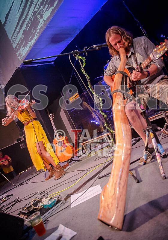 Buffalo Huddleston-562 - BUFFALO HUDDLESTON