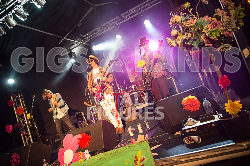 Vale Earth Fair 2017_PRESS EDIT-17 - VALE EARTH FAIR 2017_THE PRESS EDIT