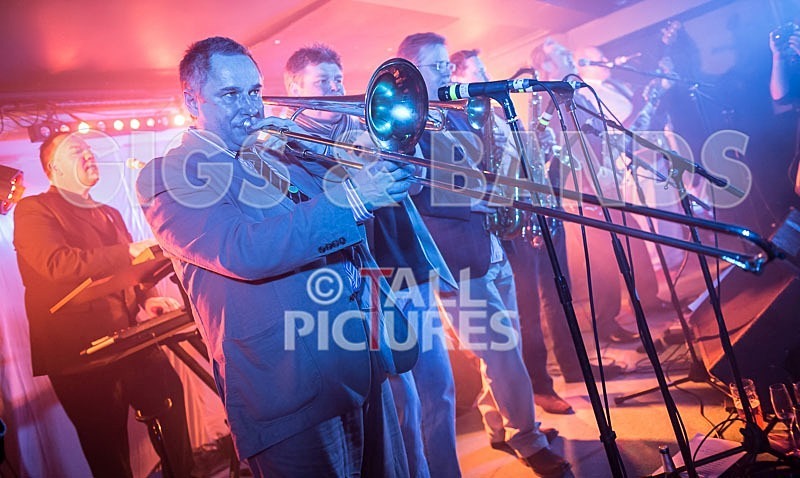 The Pulse-88 - THE PULSE