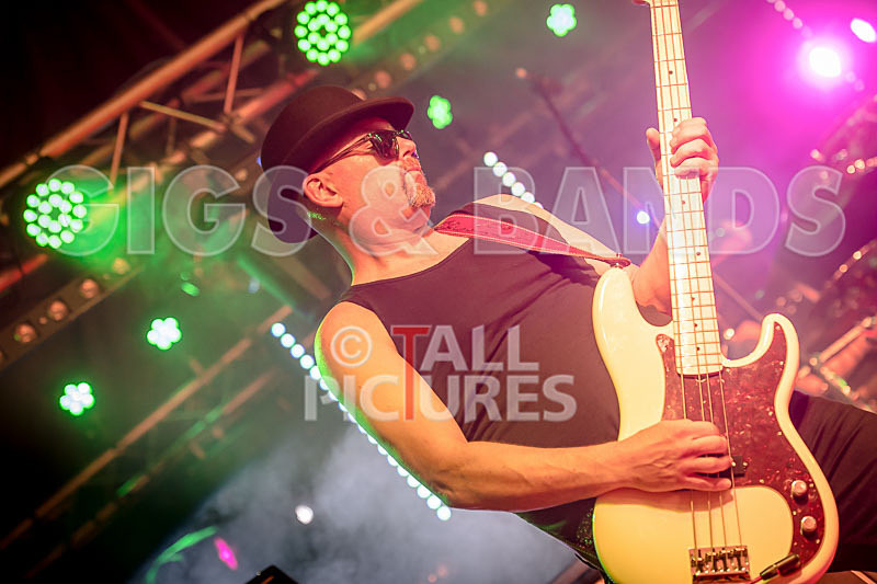 Peppered Ant Legs-221 - PEPPERED ANT LEGS