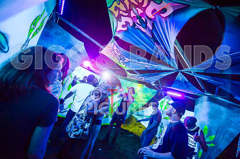 Vale Earth Fair 2017_SCENE-77 - VALE EARTH FAIR 2017_THE SCENE