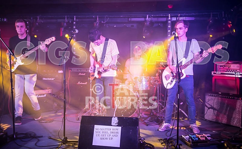 China Aster-89 - CHINA ASTER