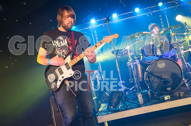 To the Woods-356 - TO THE WOODS