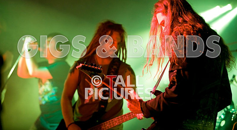 Maiden Guernsey-46 - MAIDEN GUERNSEY at RoA-2