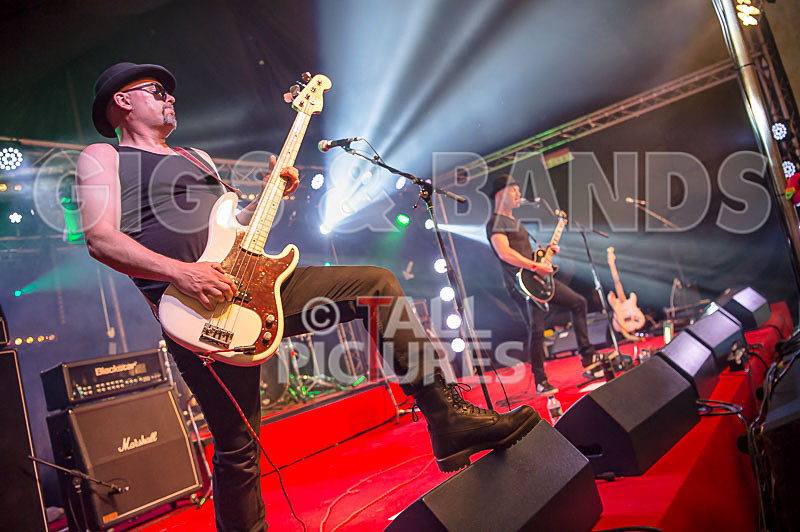 Peppered Ant Legs-235 - PEPPERED ANT LEGS