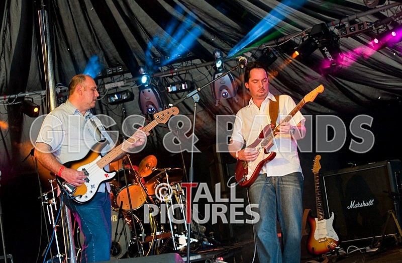 Wild Card-2 - HOGWASH 2009 - BANDS