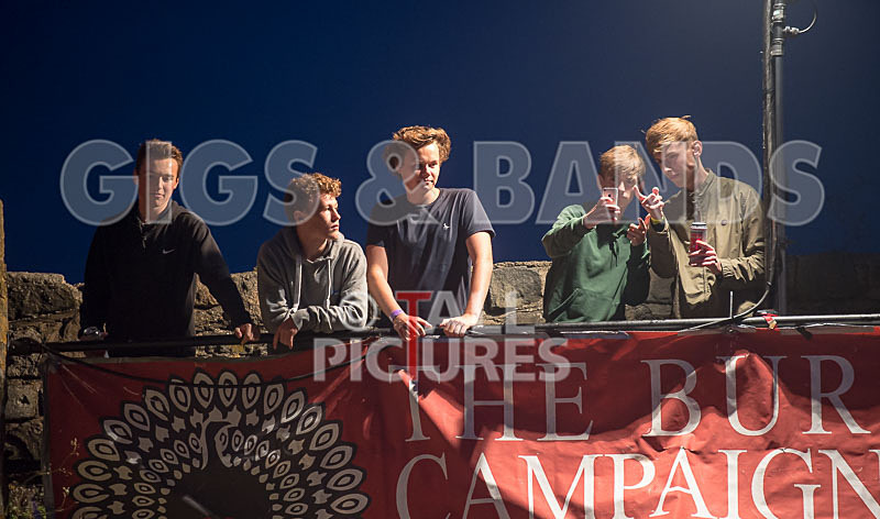 Vale Earth Fair 2015_Atmosphere-49 - VALE EARTH FAIR 2015_THE ATMOSPHERE