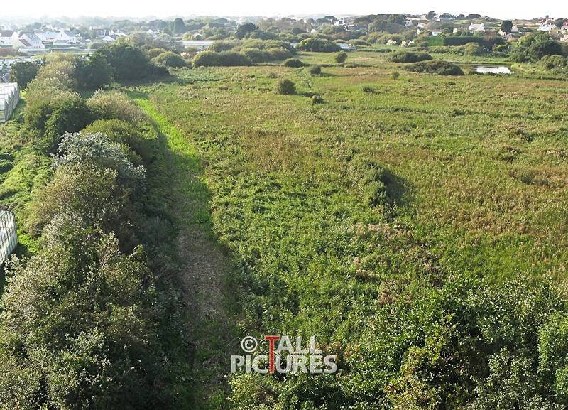 Land Survey-4 - SURVEYS