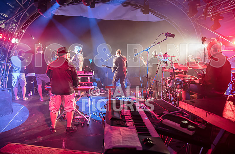 Sons of the Desert-309 - SONS OF THE DESERT