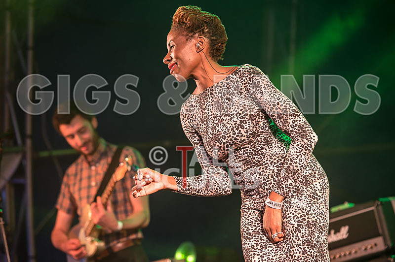 The Delegators-11 - THE DELEGATORS