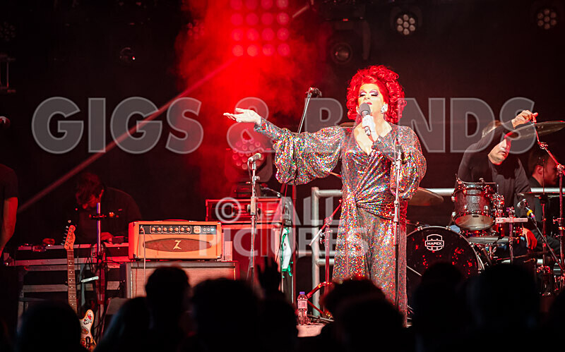 Vale Earth Fair 2020_THE SCENE-69 - VALE EARTH FAIR 2020_THE SCENE