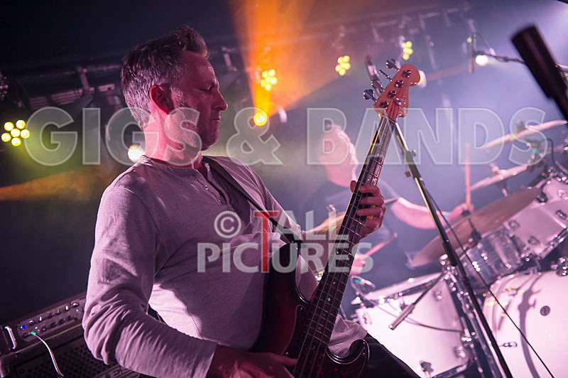 Ray and the Guns-30 - RAY AND THE GUNS