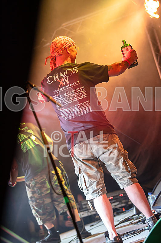 Spunge-173 - [spunge]