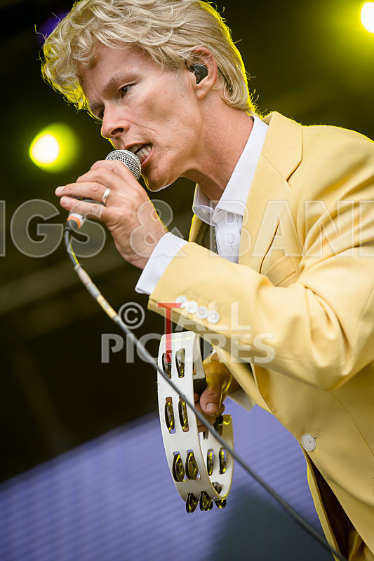 Absolute Bowie-44 - ABSOLUTE BOWIE