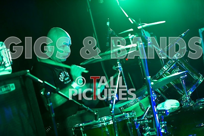 The Lurkers-22 - THE LURKERS