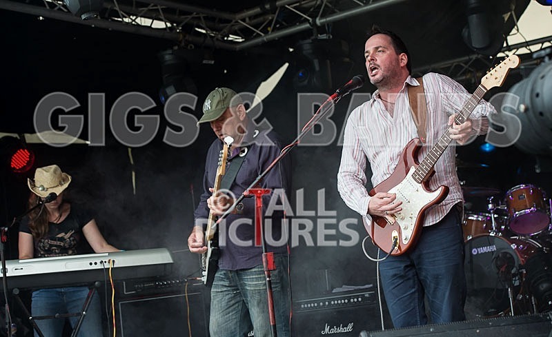 Wild Card-125 - WILD CARD