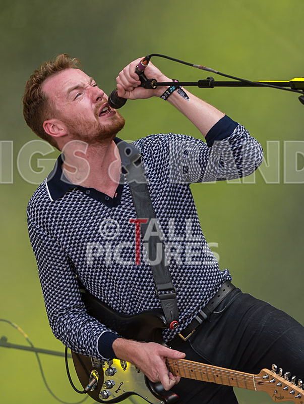 The Bohicas-15 - THE BOHICAS