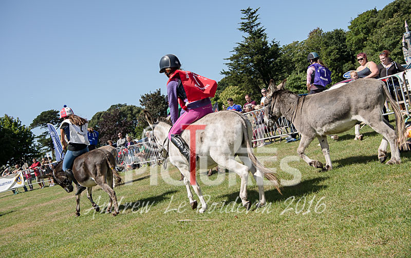 Donkey Derby_2016-5 - LIONS CLUB DONKEY DERBY 2016