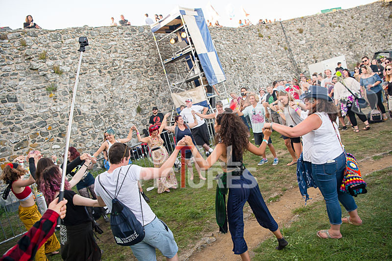 Vale Earth Fair 2017_SCENE-109 - VALE EARTH FAIR 2017_THE SCENE