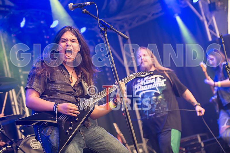 Stone Em All-216 - STONE EM ALL