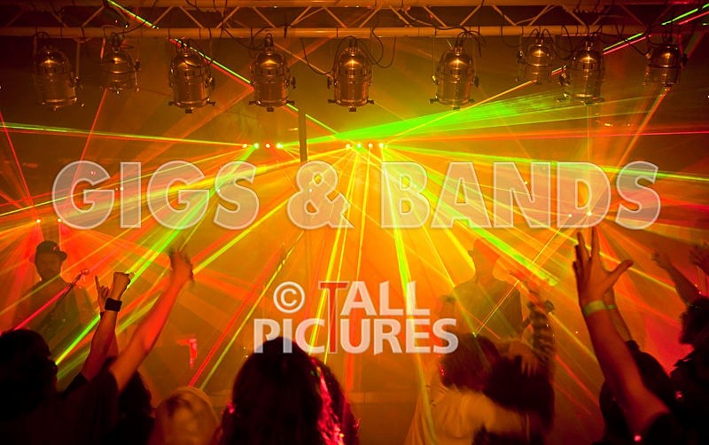 Peppered Ant Legs-60 - PEPPERED ANT LEGS