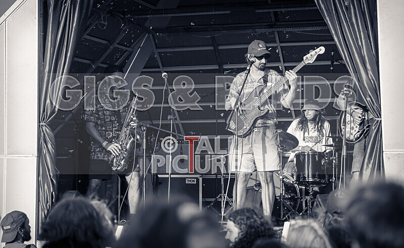 Pam Bindi-7 - PAM BINDI