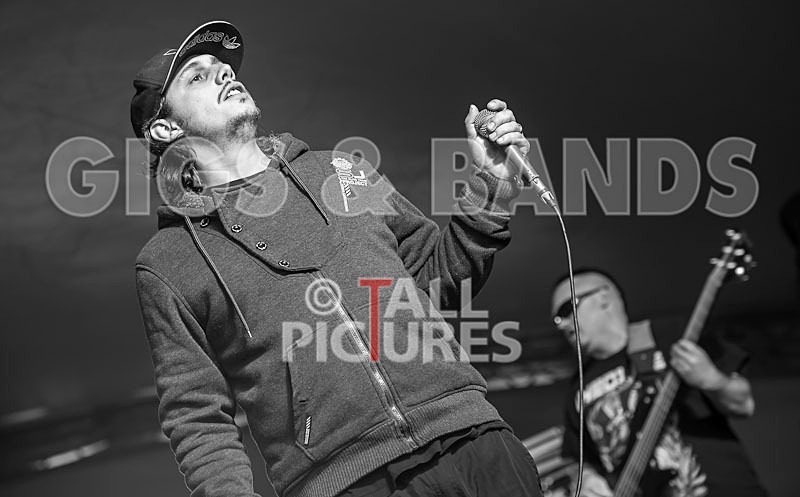 The Spindle Sect-20 - THE SPINDLE SECT