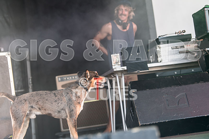 Vale Earth Fair 2017_SCENE-39 - VALE EARTH FAIR 2017_THE SCENE