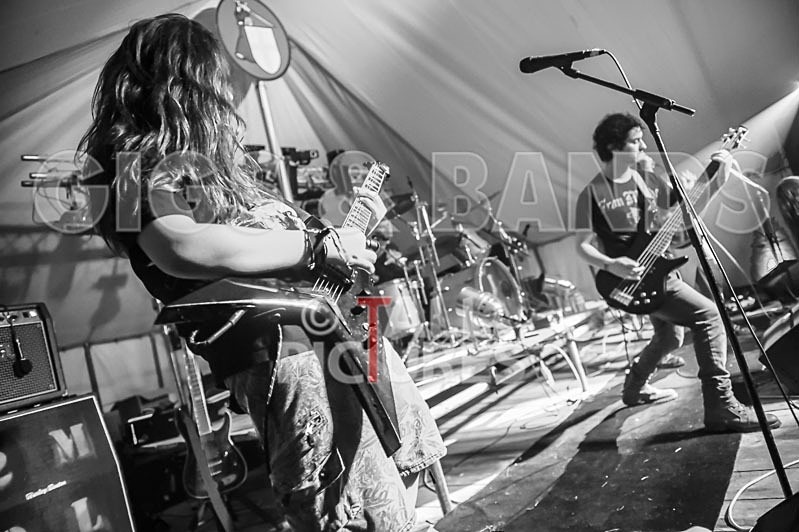 Stone Em All-111 - STONE EM ALL