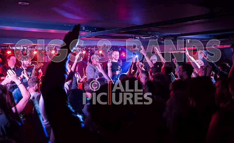 The Mouse Outfit-117 - THE MOUSE OUTFIT