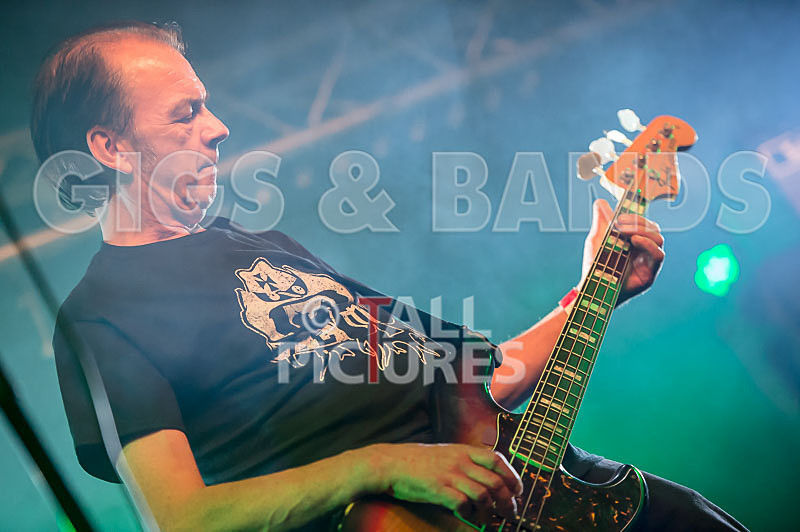 The Electric Shakes-87 - THE ELECTRIC SHAKES