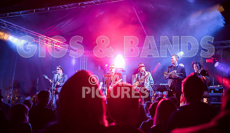 Sons of the Desert-276 - SONS OF THE DESERT