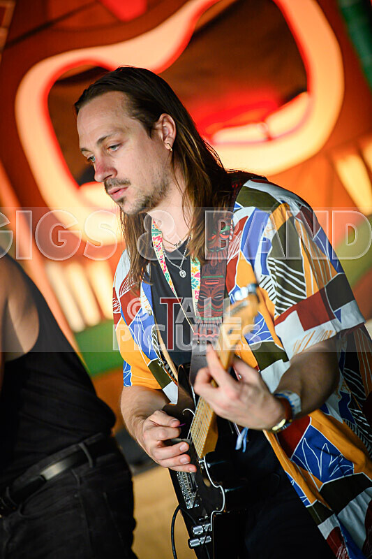 Arctic Donkeys-9 - ARCTIC DONKEYS