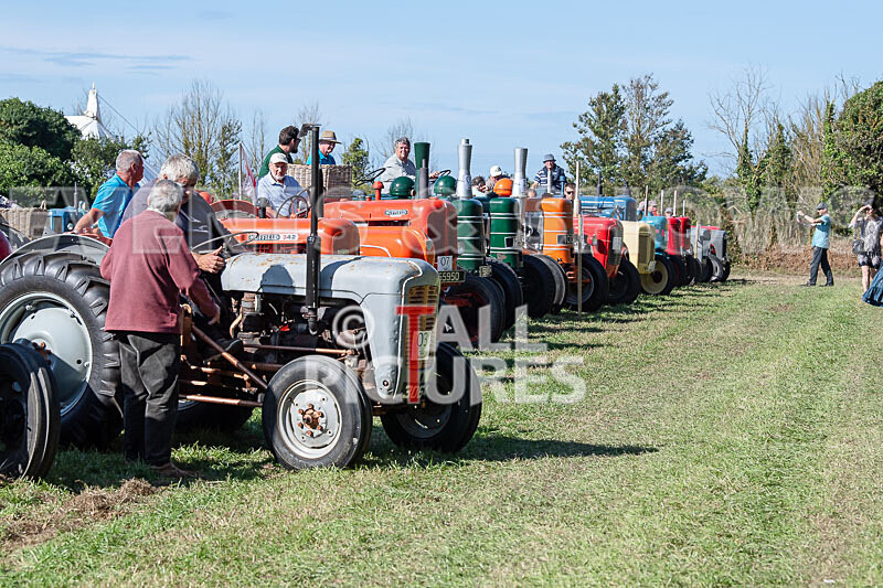 Guernsey Agricultural Show 2021-228 - GUERNSEY AGRICULTURAL SHOW 2021