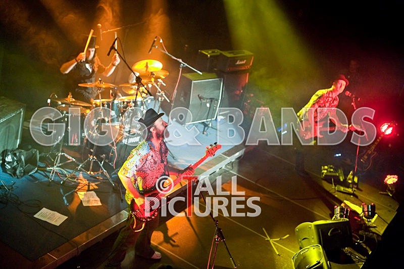 Peppered Ant Legs-18 - PEPPERED ANT LEGS at RoA-3