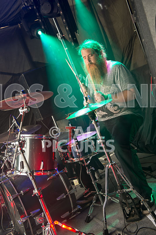 Honest Crooks-52 - HONEST CROOKS