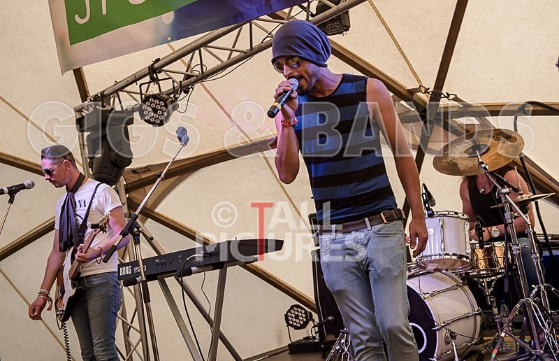 Harlequin Knights-56 - HARLEQUIN KNIGHTS