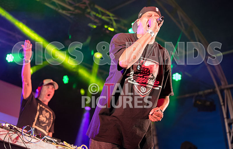 Vale Earth Fair 2017_PRESS EDIT-35 - VALE EARTH FAIR 2017_THE PRESS EDIT